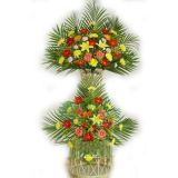 Թʻٵ