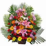 Թʻٵ