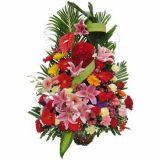 Թʻٵ