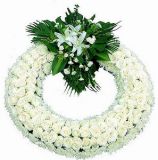 Թҵ